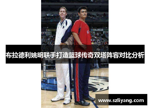 布拉德利姚明联手打造篮球传奇双塔阵容对比分析