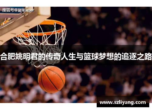 合肥姚明君的传奇人生与篮球梦想的追逐之路
