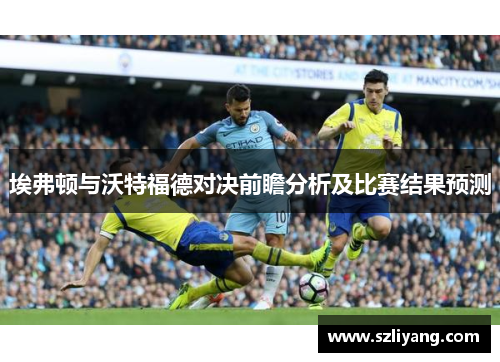 埃弗顿与沃特福德对决前瞻分析及比赛结果预测